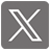 X icon